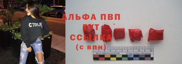 спайс Нея